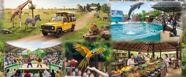THAILAND - Bangkok - Pattaya - Transfers